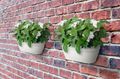 Coș Elho vibia campana wall basket, 35 cm, alb (silky white) — imaginea 4