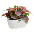 Coș Elho vibia campana wall basket, 35 cm, alb (silky white) — imaginea 2