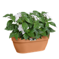Coș Elho vibia campana wall basket, 35 cm, terracotta (terra) — imaginea 2