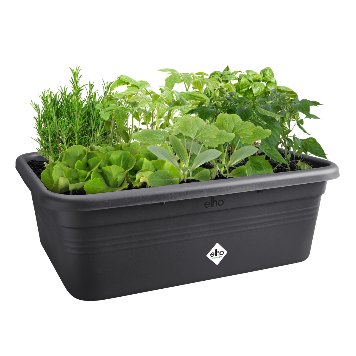 elho green basics collection - Buy online or in store! - elho - Give room  to nature
