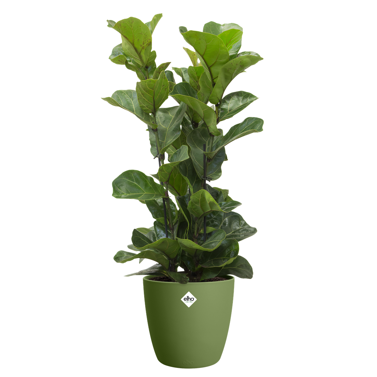 action regal schwarz metall Home Accents Schwebendes Wandregal – 57 x 23,5 x 4 cm GiftGuide_freshen-up
