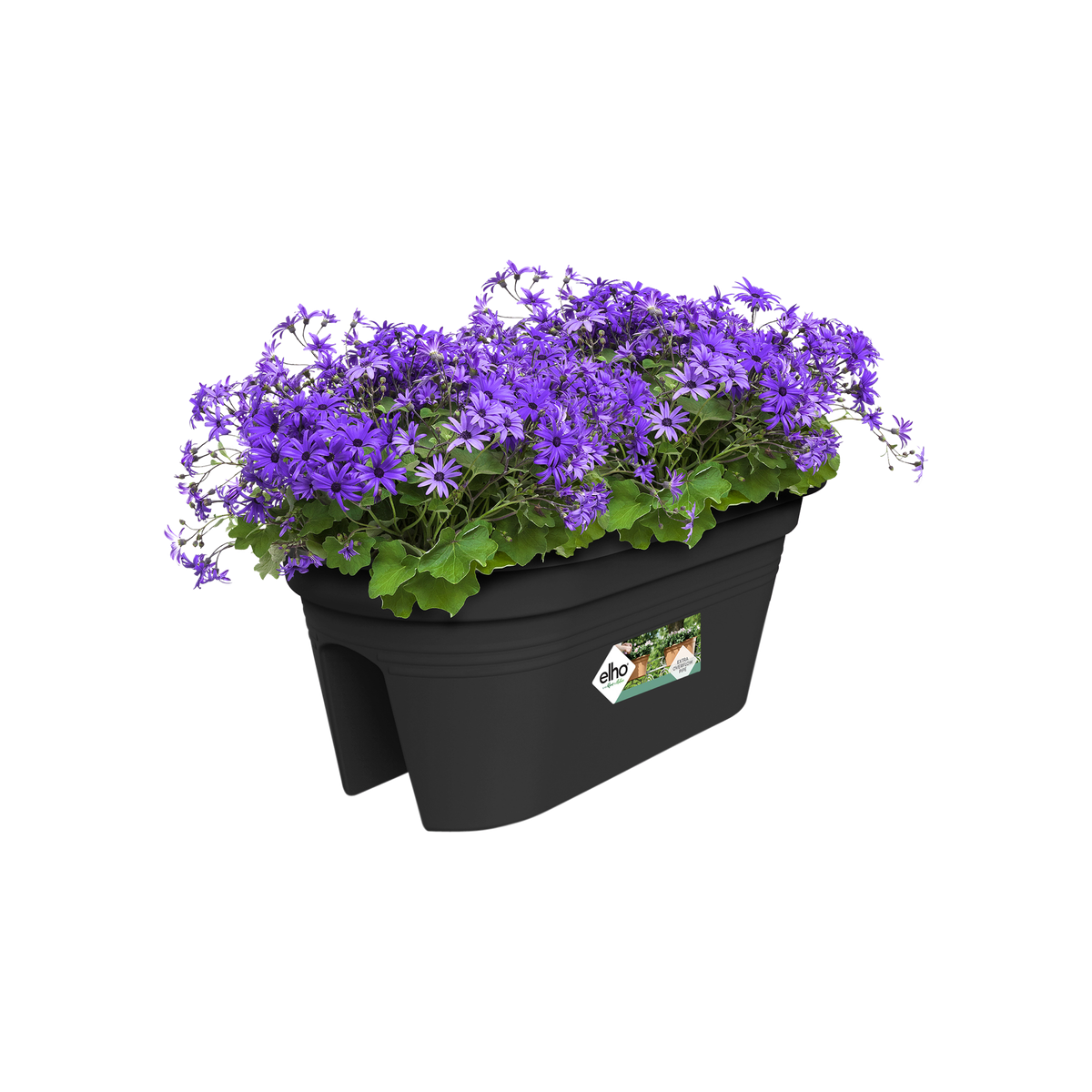 green_basics_flower_bridge__li