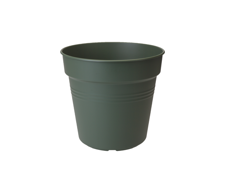 green basics kweekpot 15cm blad groen, foto 2 van 2