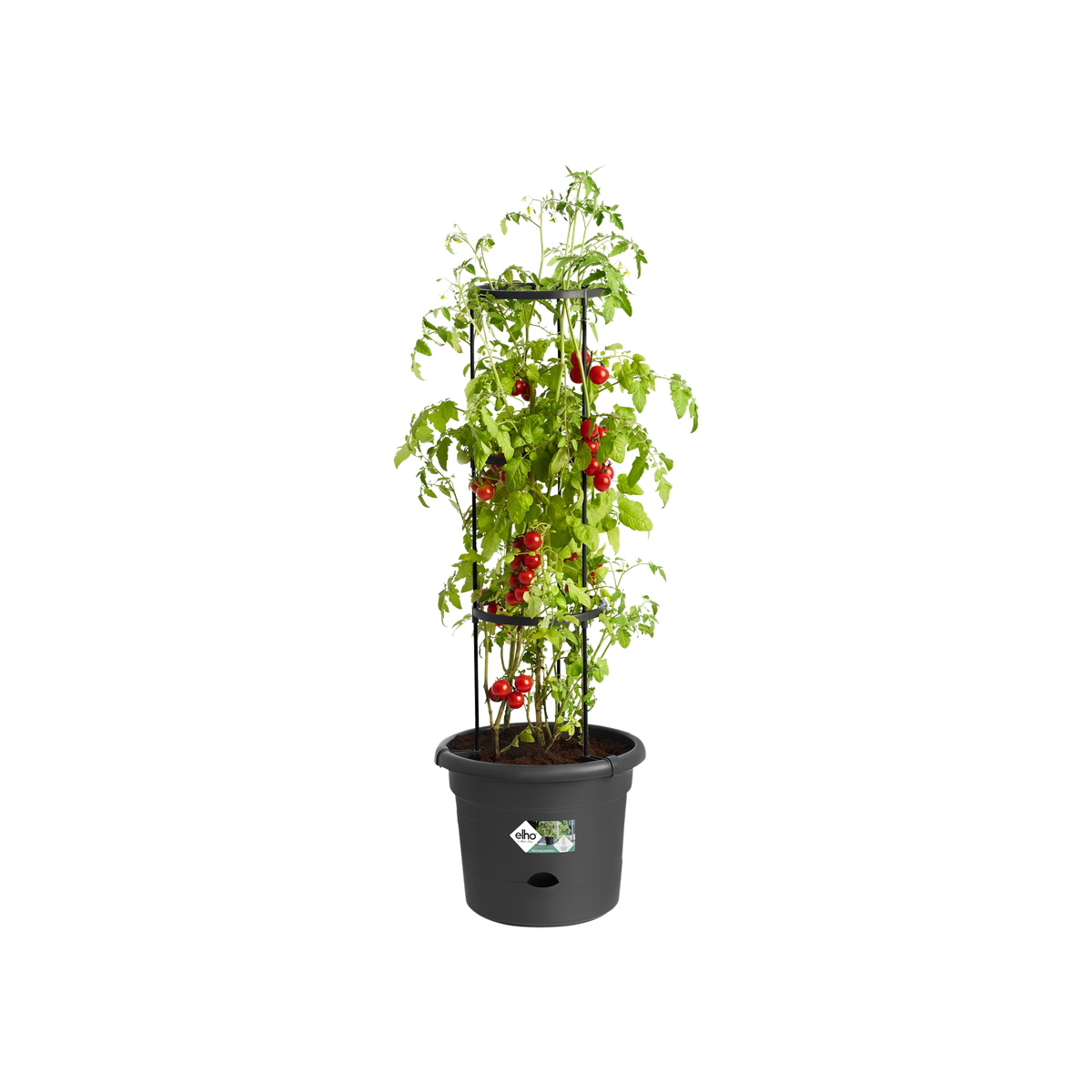 green basics tomato pot 33cm living black - elho® - Give room to