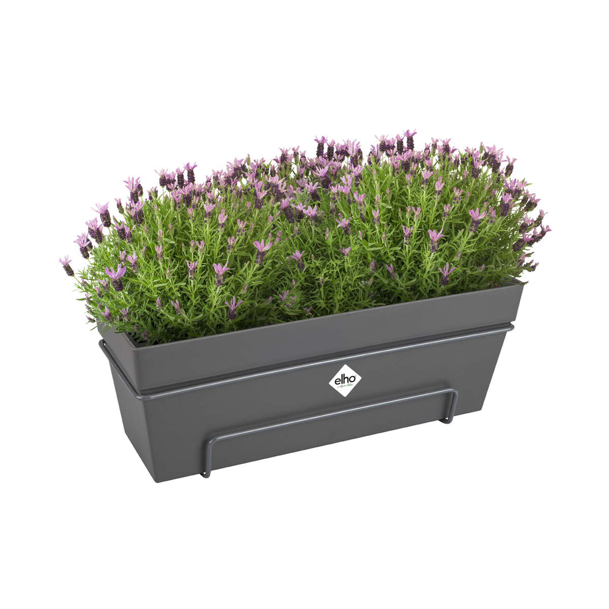 Blumenkasten hngend fr den Auenbereich  elho.com - elho - Give room  to nature