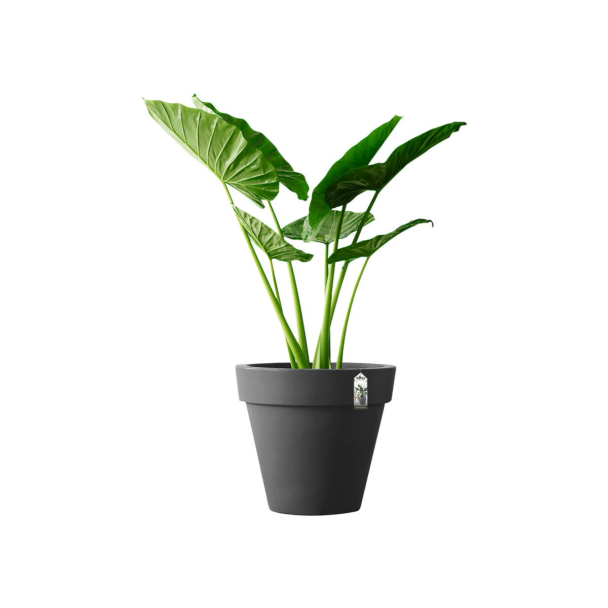 Elho Pure Round 40 - Bloempot - Antraciet - Binnen & Buiten - 39 x H