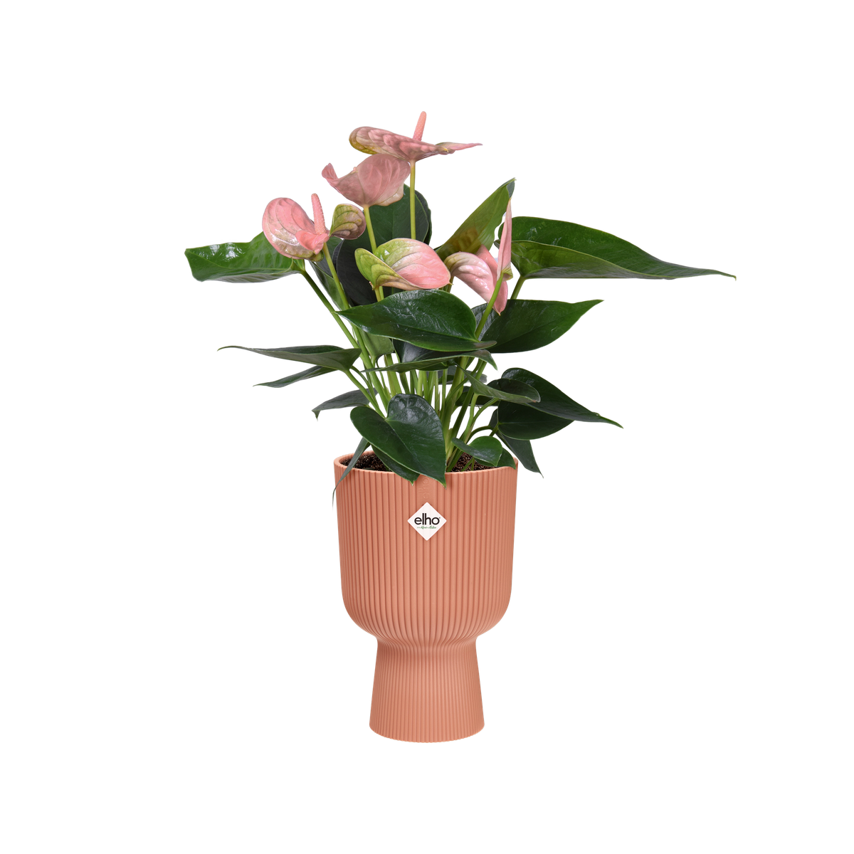 EDA Vaso Toscana Mezza Altezza 44 Cm - Rosso Borgogna, 50 Litri, Antigelo E Anti-UV, Made In France