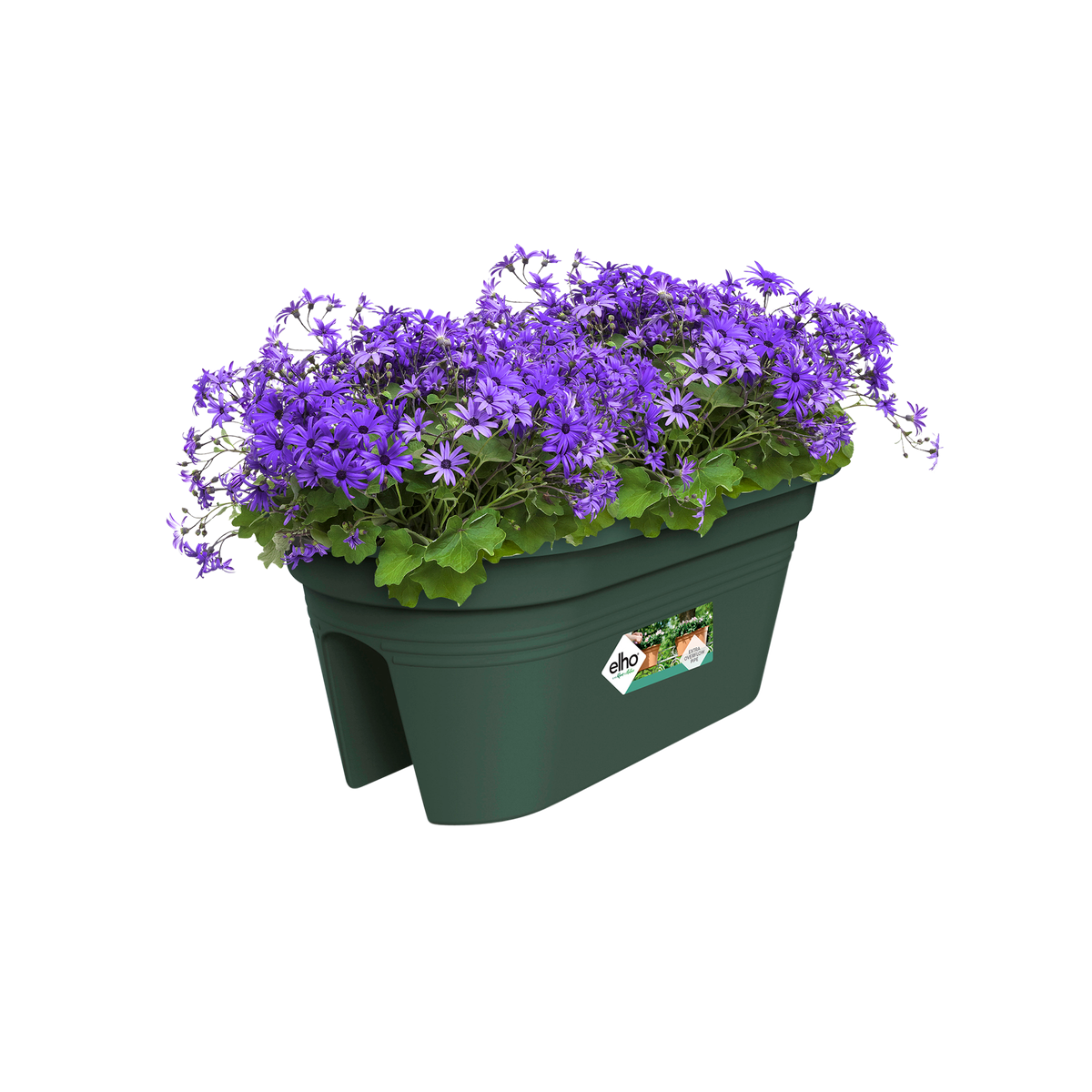 green basics flower bridge 55cm blad groen elho® Give room to nature