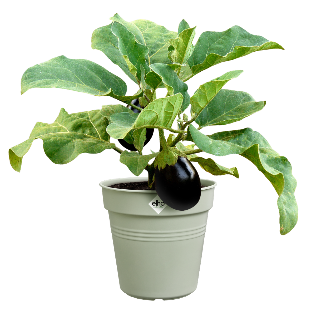 Vaso Growpot 30cm Verde 6812813036000 Elho