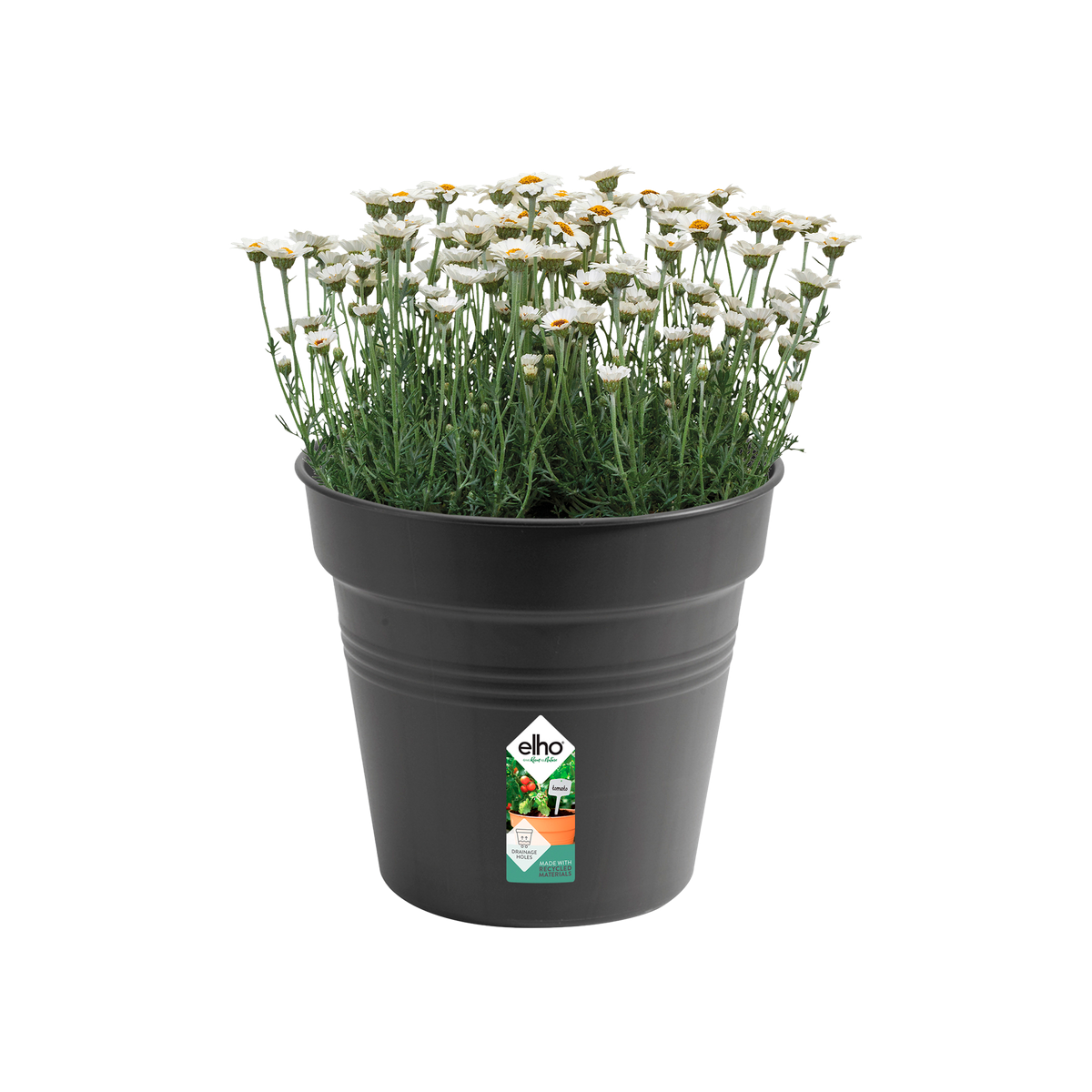 Vous souhaitez commander un pot de fleurs ? Découvrez les pots elho en  ligne ! - elho® - Give room to nature