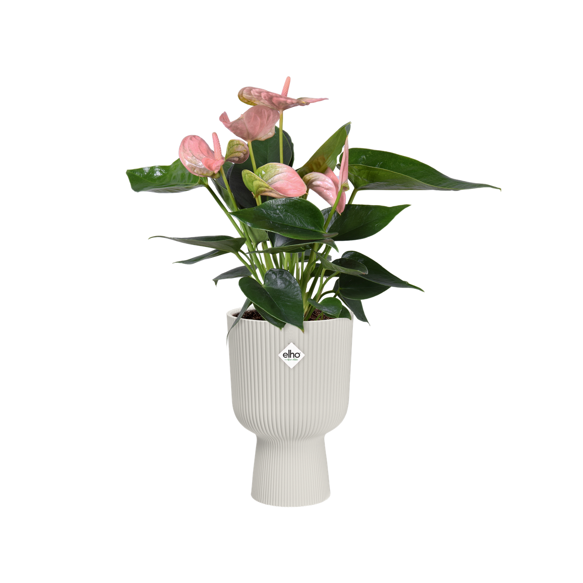 vibes fold rond 14cm rose poudré - elho® - Give room to nature