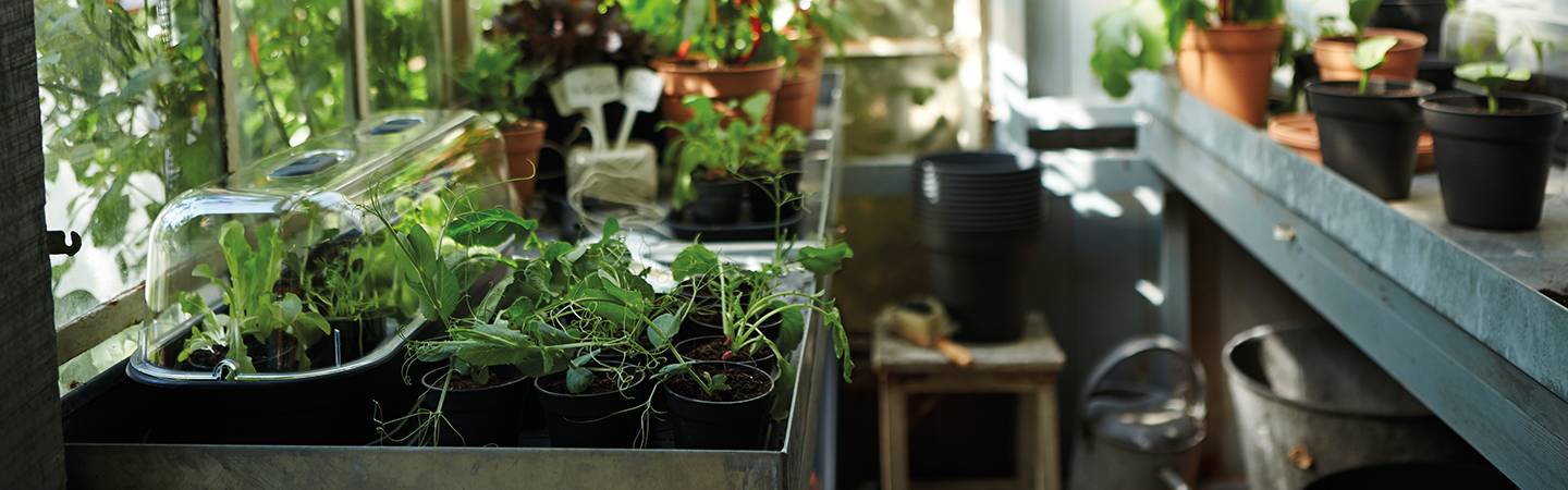green basics growpot 40cm living black