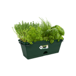 green-basics-balkonbak-mini-allin1-30cm-blad-groen