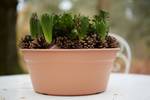 green-basics-bowl-33cm-mild-terra