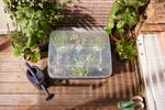 green-basics-grow-garden-house-l-transparente