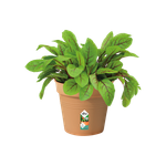 green-basics-growpot-13cm-mild-terra