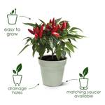 green-basics-growpot-15cm-mild-terra