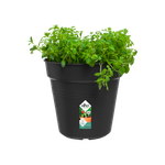 green-basics-growpot-24cm-living-black