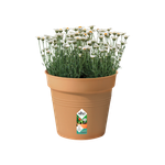 green-basics-growpot-30cm-mild-terra