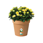 green-basics-growpot-40cm-mild-terra