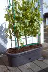 green-basics-jardiniere-treillis-80cm-living-noir