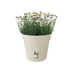 green-basics-pot-de-culture-30cm-coton-blanc