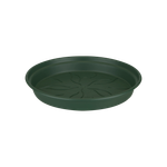green-basics-saucer-22cm-leaf-green