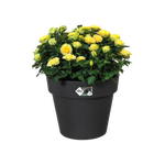 green-basics-top-planter-30cm-living-noir