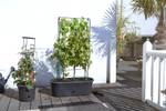 green-basics-veggie-wall-80cm-living-schwarz