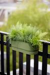 greenville-easy-balcony-52cm-leaf-green