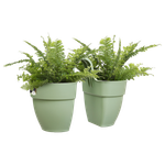 vibia-campana-flower-twin-21cm-pistache-green