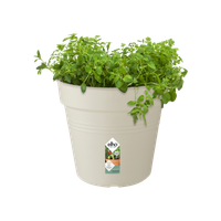 green-basics-growpot-24cm-cotton-white