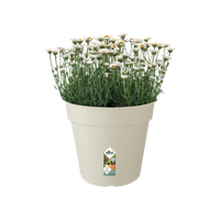 green-basics-growpot-30cm-cotton-white
