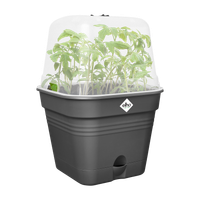 green-basics-growpot-square-allin1-15cm-living-black