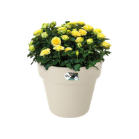 green-basics-top-planter-23cm-katoen-wit