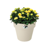 green-basics-top-planter-40cm-katoen-wit