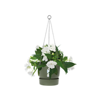 greenville-hanging-basket-24cm-blad-groen