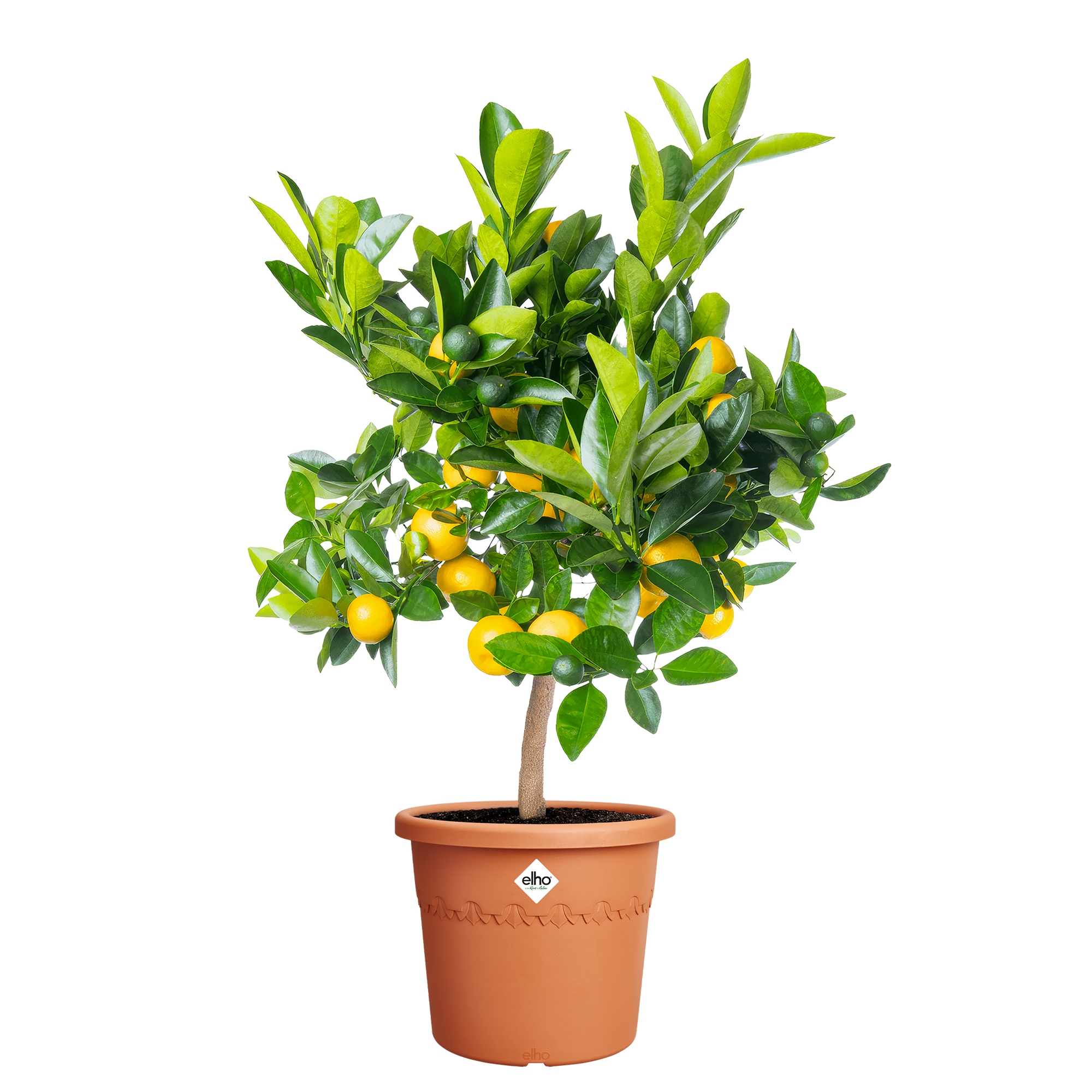 algarve cilindro 35cm terra - elho - Give room to nature