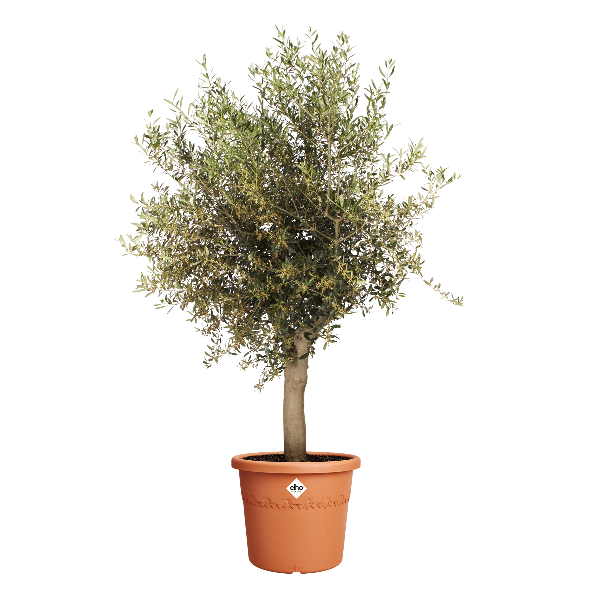 algarve cilindro 48cm terra - elho - Give room to nature