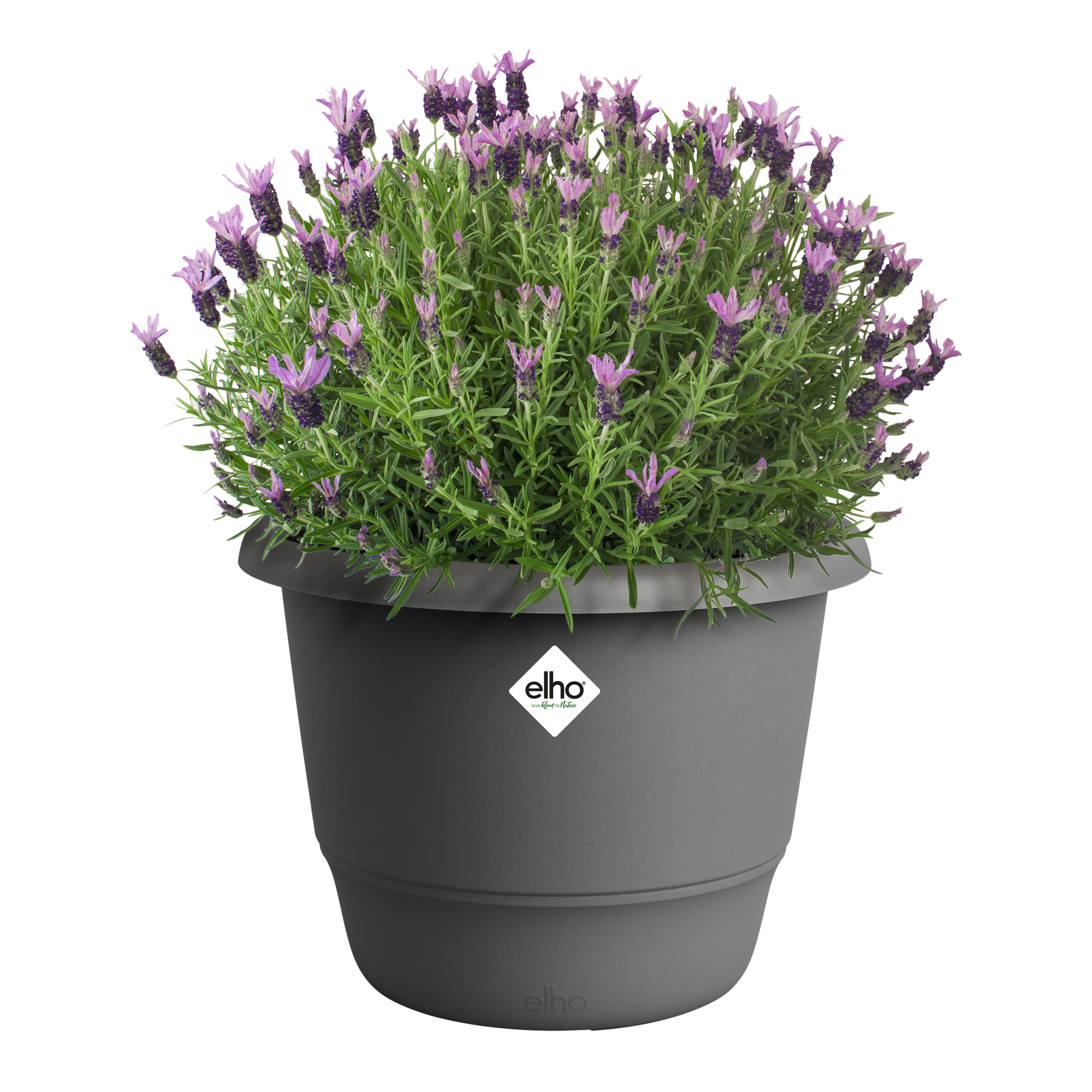 Elho Vaso Rettangolare Per Piante 40 Cm - Grigio Scuro, Plastica Resistente, 8L, Per Interni/Esterni - 2