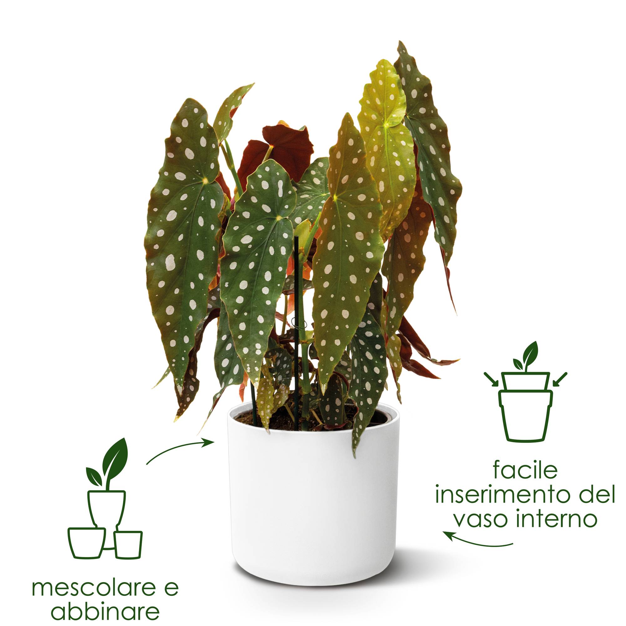 Elho Jazz Round - Vaso per piante da interno - Struttura unica - 100% plastica riciclata - Set di 3 - 14, 16, 19 cm - Giallo/Giallo Ambra