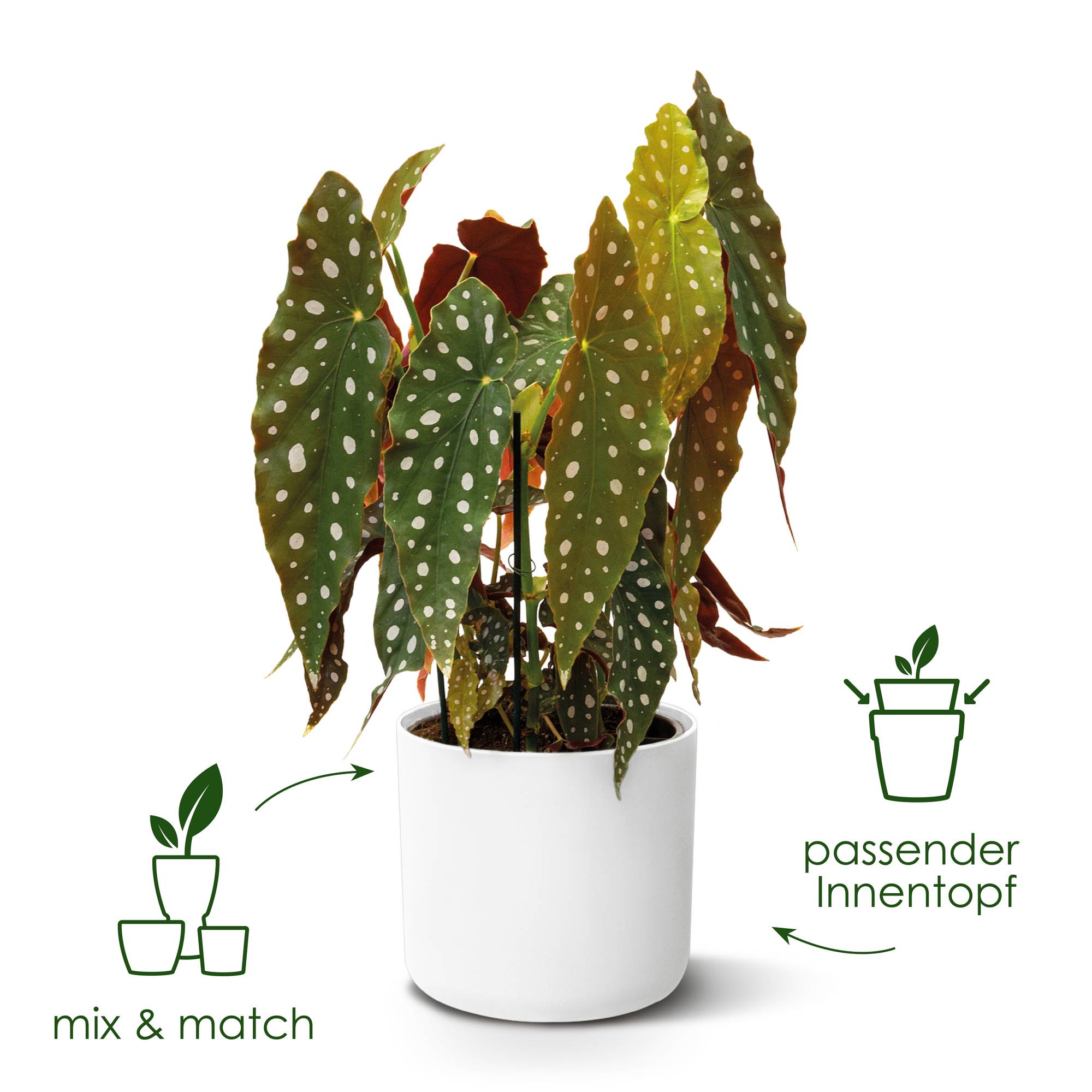 b.for soft rund 14cm weiss - elho - Give room to nature