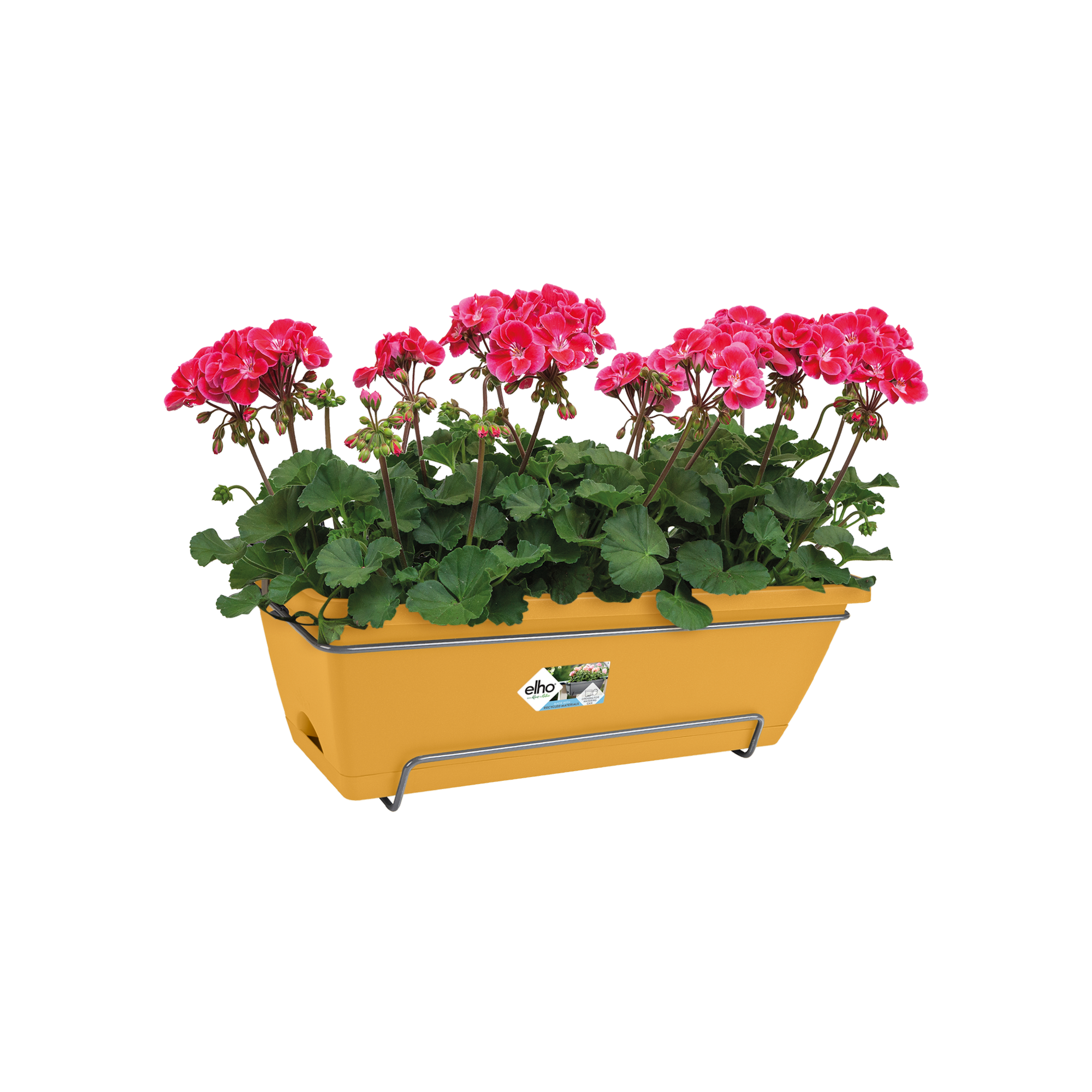 Hanse Home Zerbino In Polipropilene 40x60 Cm Rosso - Resistente E Lavabile