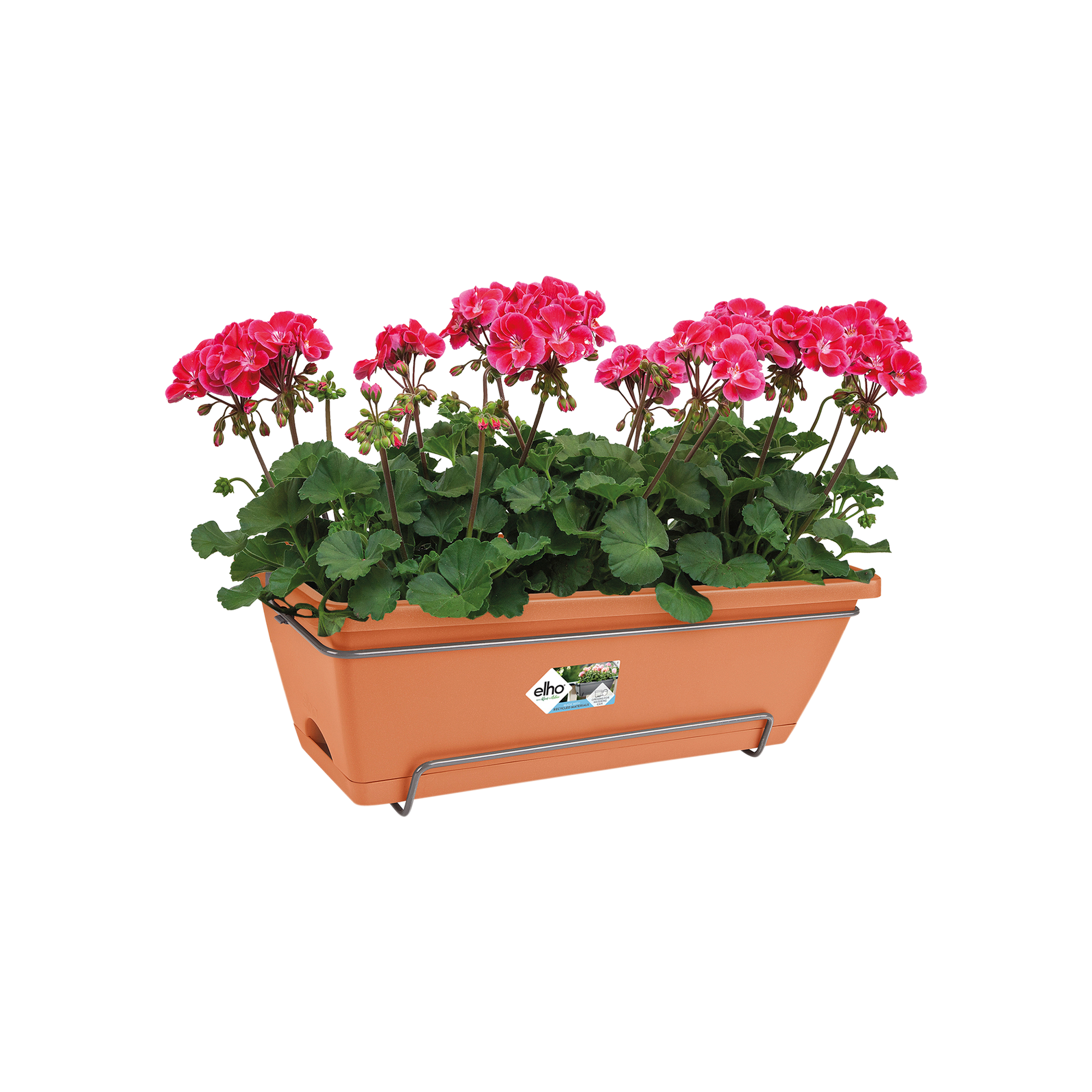 Set 2 Fioriere Terracotta Siena Conca Limoni - Ø48cm, Resistente Al GelO