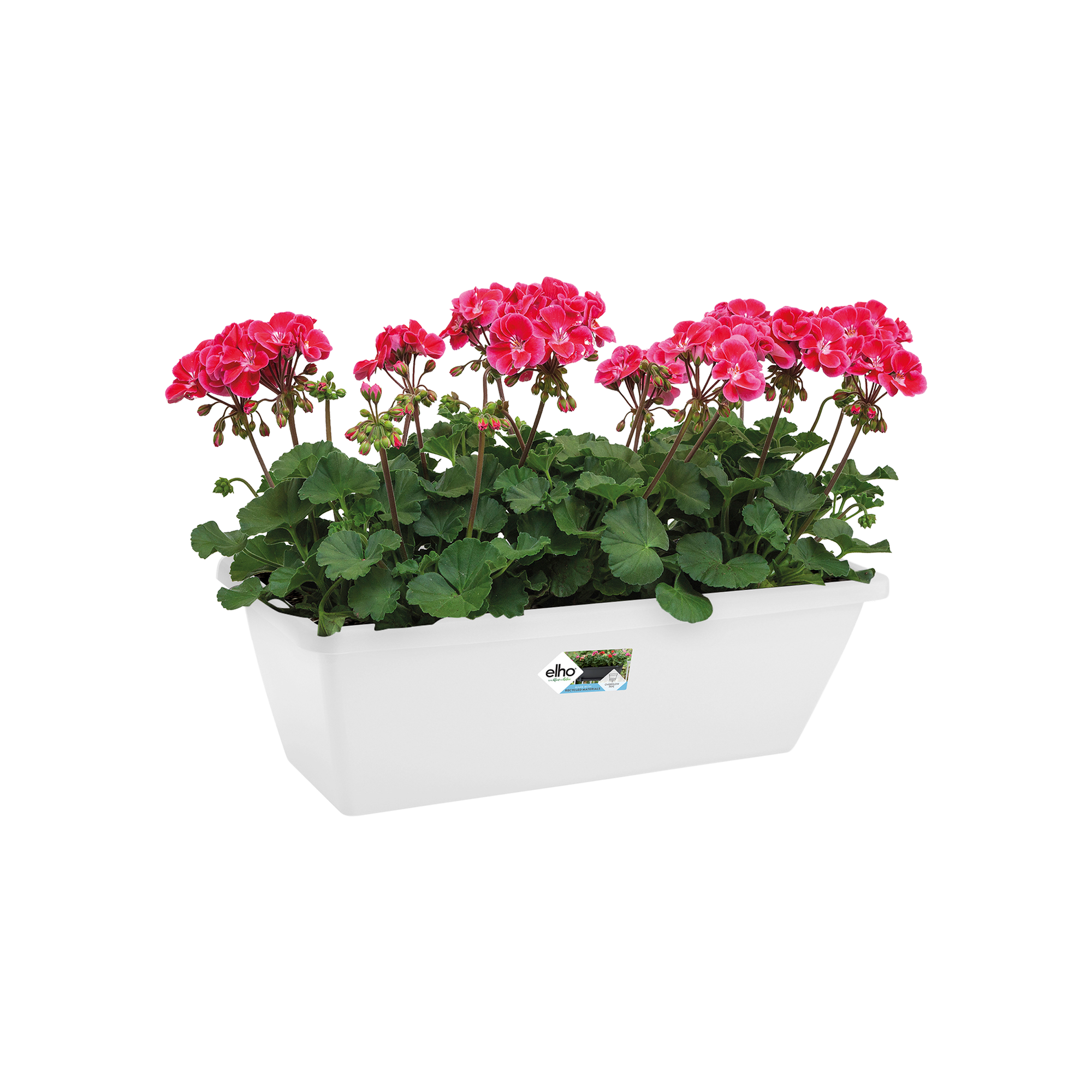 Decorspace Balconière Fixe Giglio Porte-Pot Rectangulaire En Fer Forgé Made In Italy - 40 Cm, Ultra Robuste Et Élégante