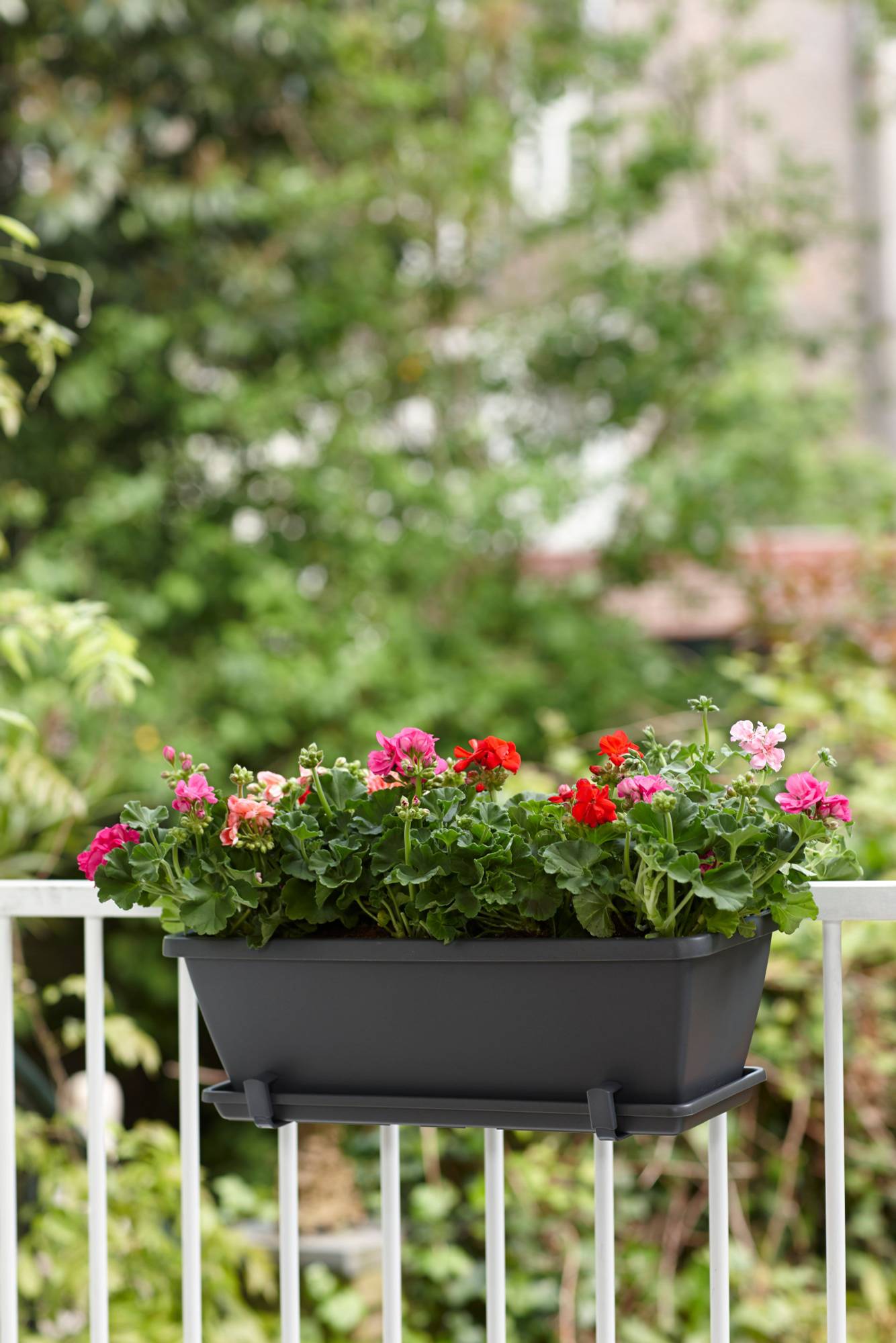 blumenstnder aussenbereich Blumenregal Lena  Stabiler Pflanzenstnder mit 5 Ebenen