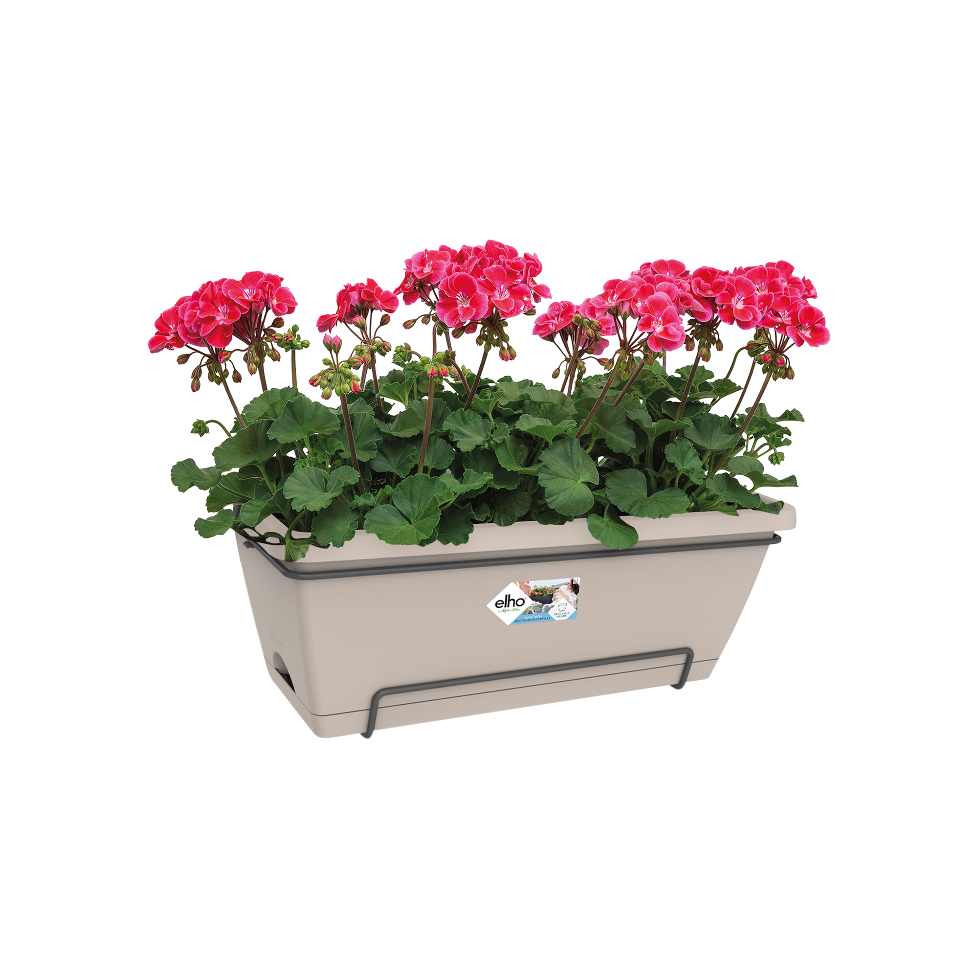 Elho Bruxelles Erbe ALLIN1 13 Cm - Vaso Per Erbe Aromatiche Con Sistema Di Irrigazione Automatico