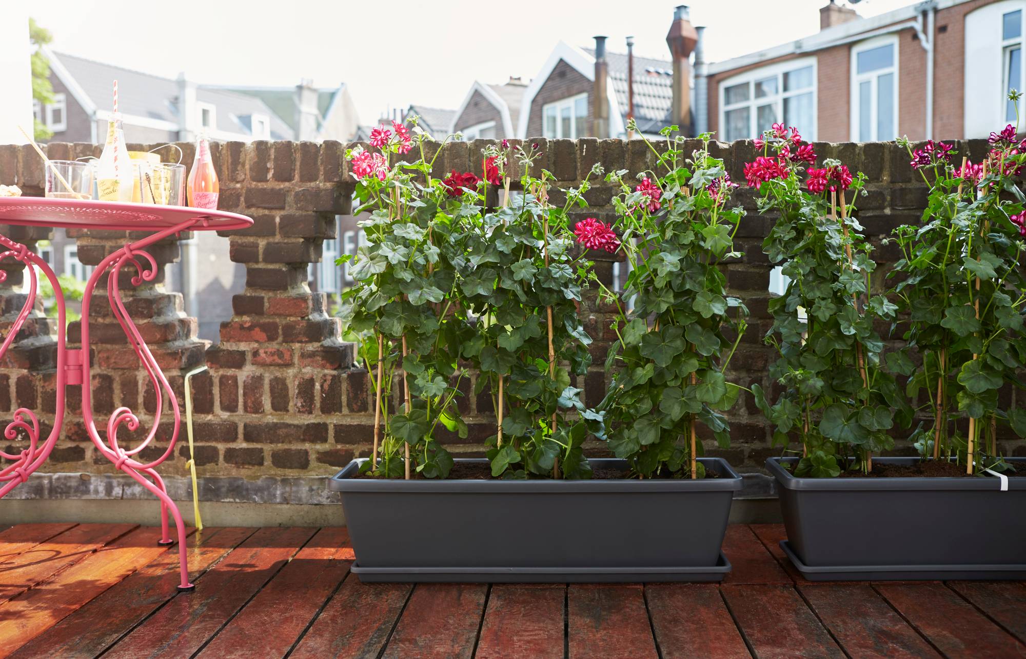 Bloempot set van 2 PE rotan bruin CEDRUS