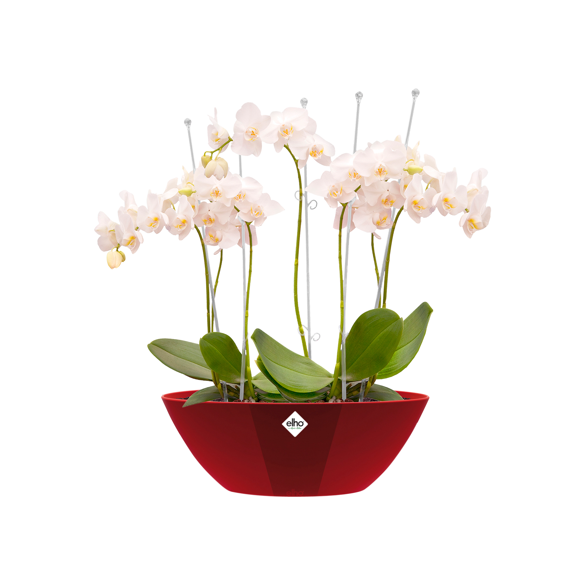elho Brussels Diamond Round 18 Pot de fleurs d'intérieur