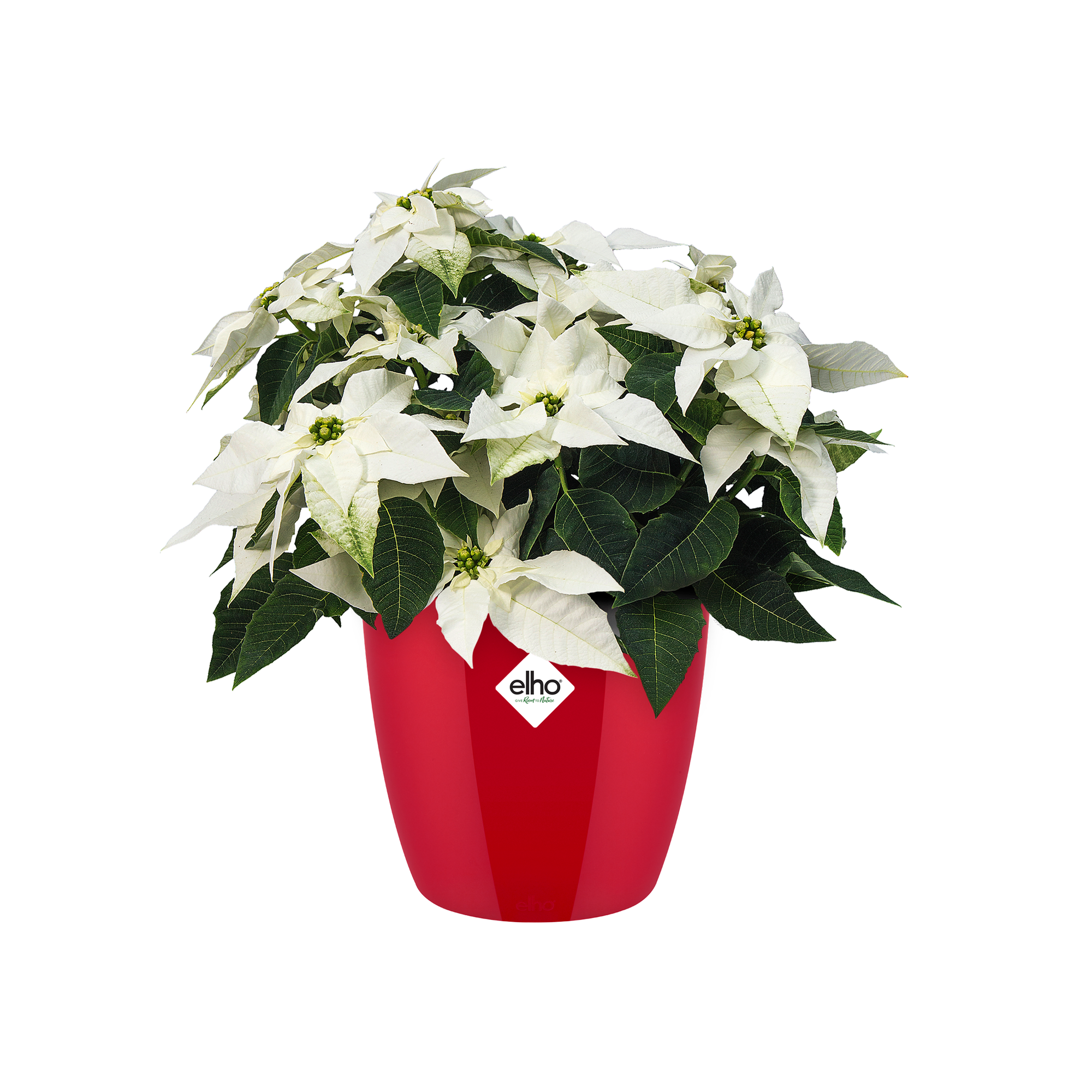 elho Lex Pott Set di 3 â€ Vaso da fiori per interni â€ 100% plastica